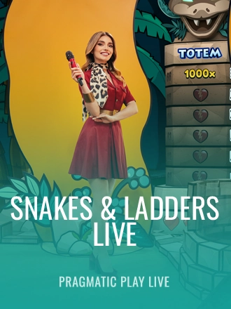 Snakes & Ladders Live image